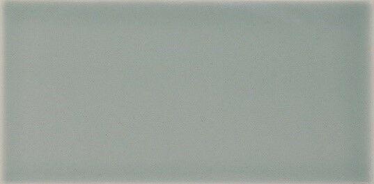 Liso Devon Fern Brillo 10x20
