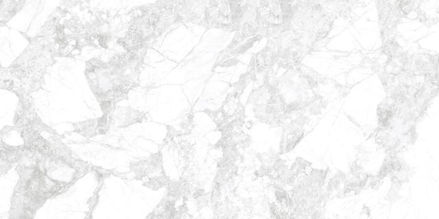 D12066M Light