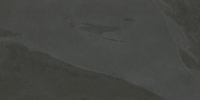610010002694 Ардезия Блэк