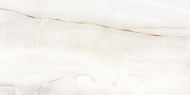 60120OSM00P Light