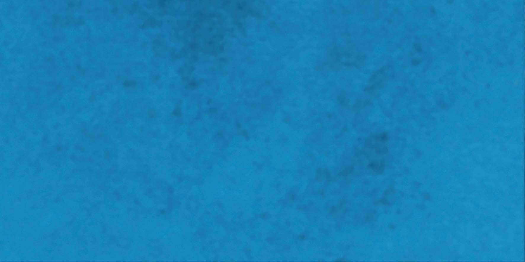 PF60011531 Blue