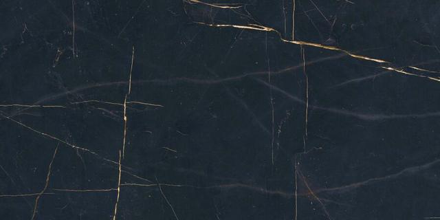 PF60011000 Precious Black Nat