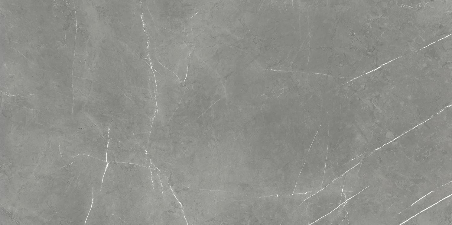 610015000657 Elegant Grey Cer