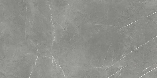 610015000657 Elegant Grey Cer