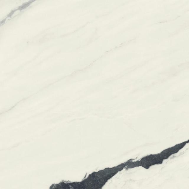 610010002717 Panda White