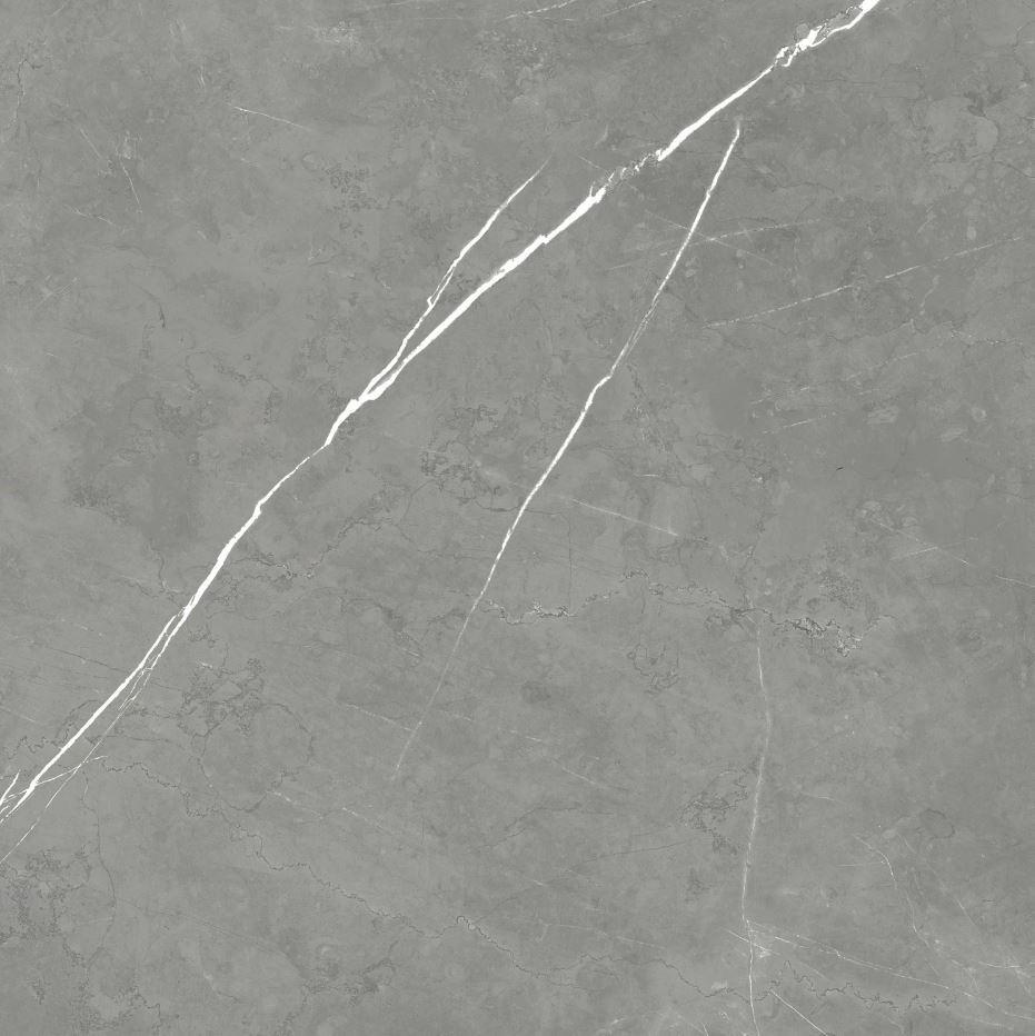 610010002718 Elegant Grey