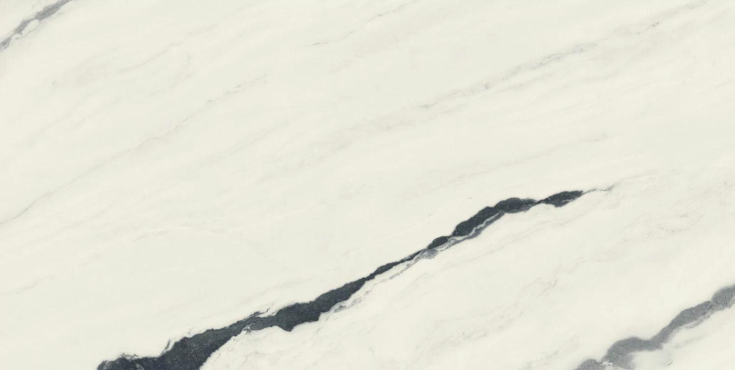 610010002709 Panda White
