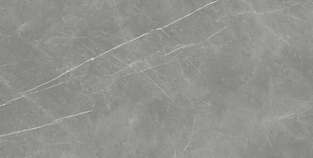 610010002710 Elegant Grey