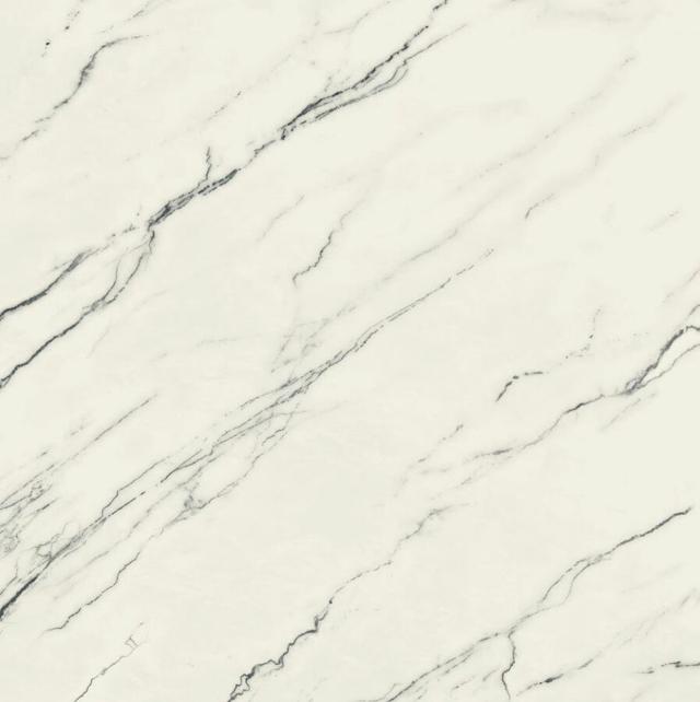 610015000647 Lilac Lapp