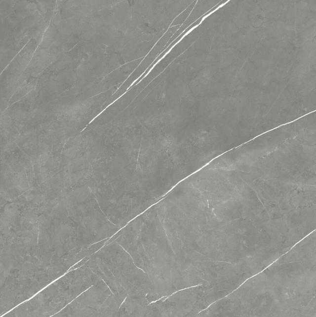 610015000649 Elegant Grey Lapp