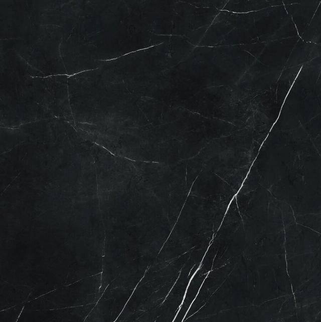 610015000651 Elegant Black Lapp