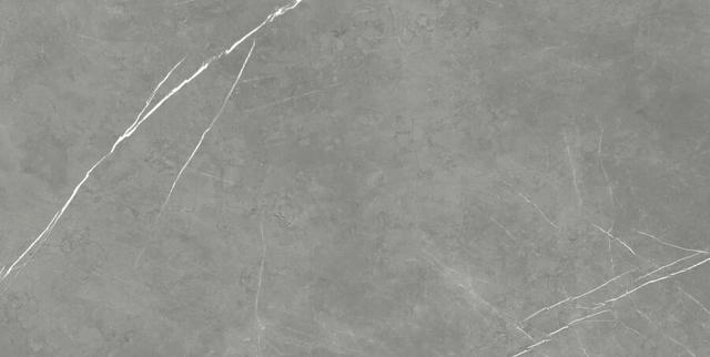 610015000665 Elegant Grey Lapp