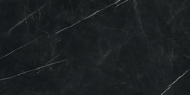 610015000667 Elegant Black Lapp