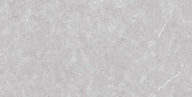 N20436 Tokyo Grey Matt