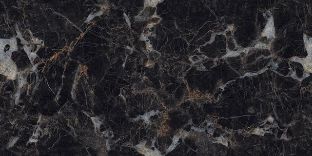 N20444 Nero Picasso Polished