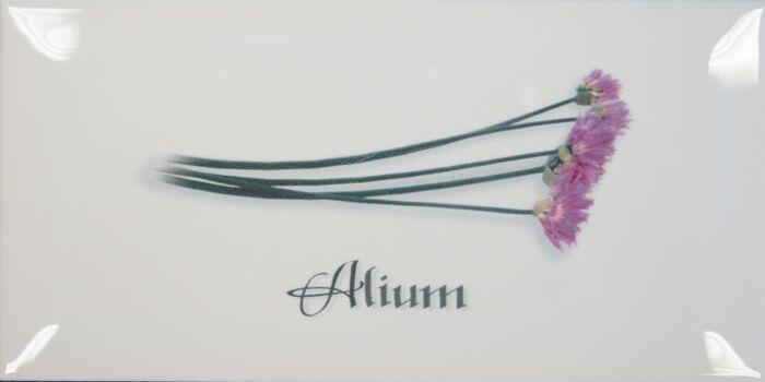 Decor Blanco Alium