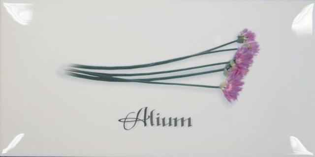 Decor Blanco Alium
