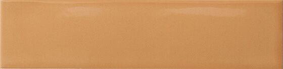 4101041 Tangerine