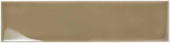 129083 Olive