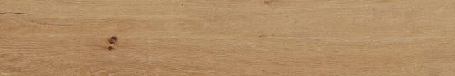 Grove Umber
