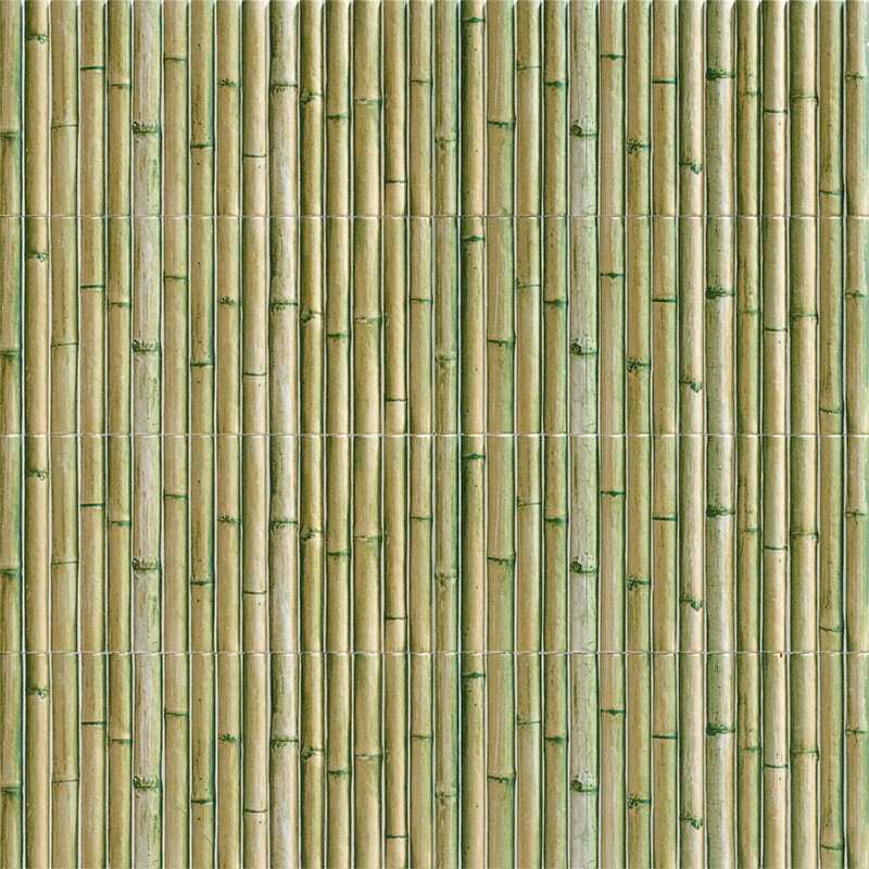 Bamboo Green