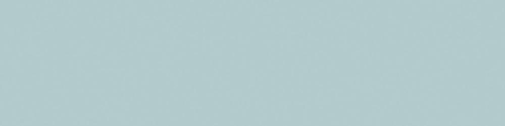 188679 Anise Green Matt