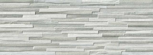 202828 Gris