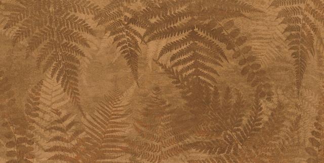 Cover Ocre
