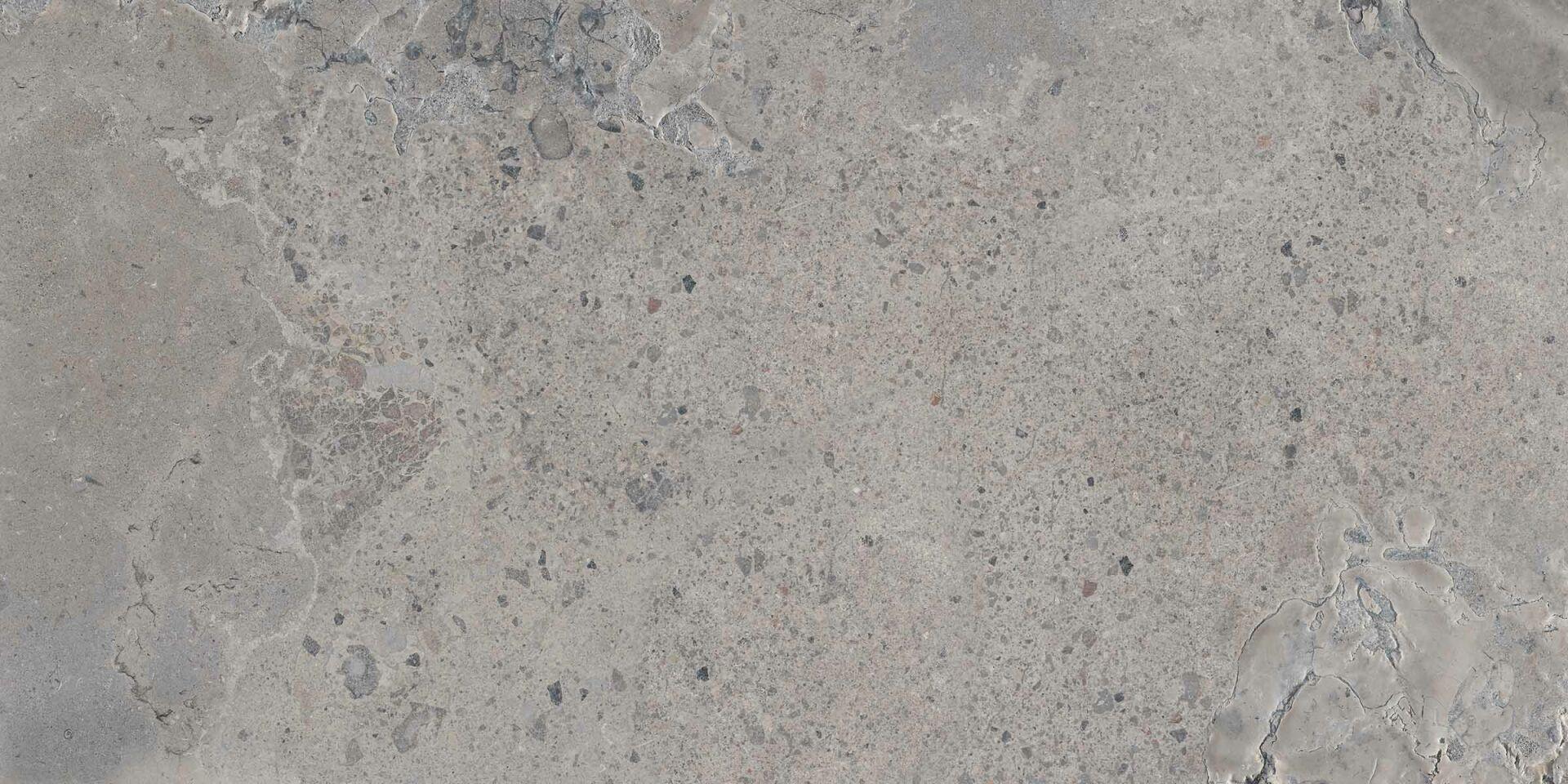 PF60011118 Grey Ant. 3d