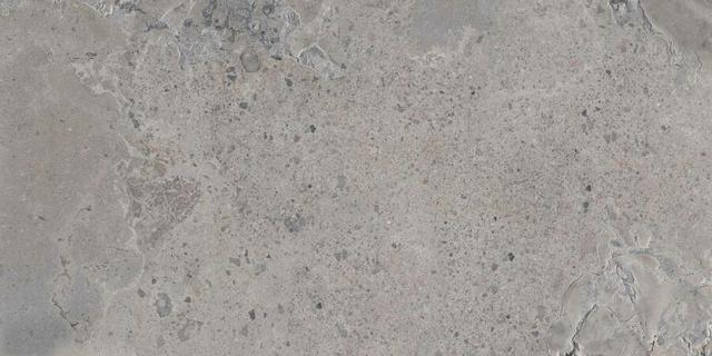 PF60011118 Grey Ant. 3d