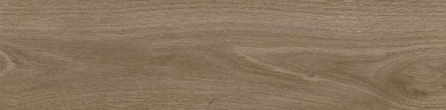 Tregui light 8x33