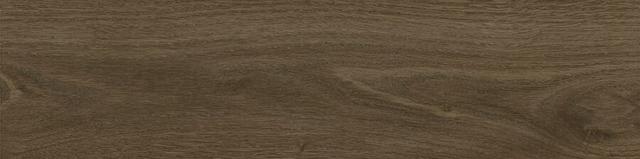 Tregui dark 8x33
