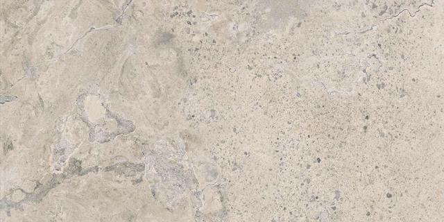 PF60011973 Ivory Ant. 3d