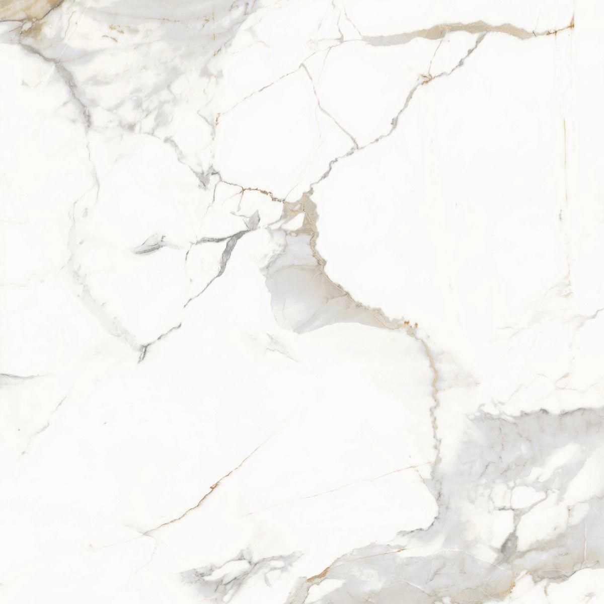 Oasis CALACATTA BLONDE 60x60 POLISHED