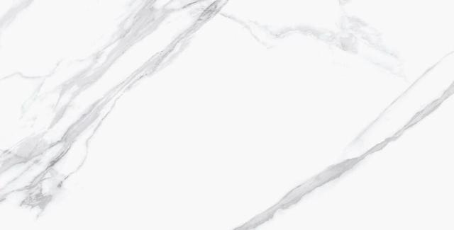 Palacio REMIX STATUARIO 60x120 POLISHED