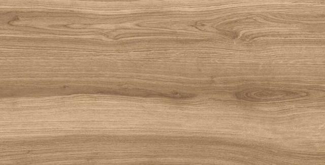 MADERA DARK 60x120 5мм MATT