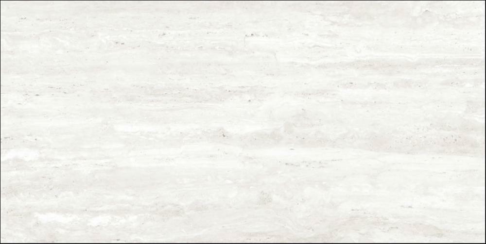 44C249R Vien Blanco