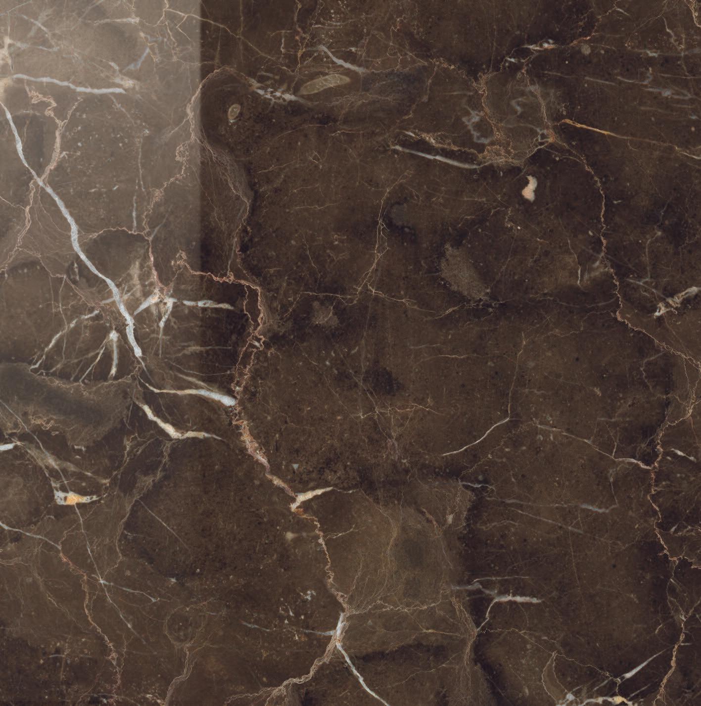 Anima Dark Emperador Rett Lucidato 60х60