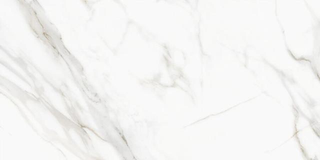 D120210M