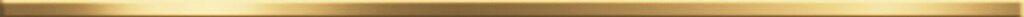 BW0SSM09 Steel Max Gold