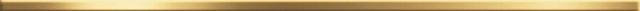 BW0SSM09 Steel Max Gold