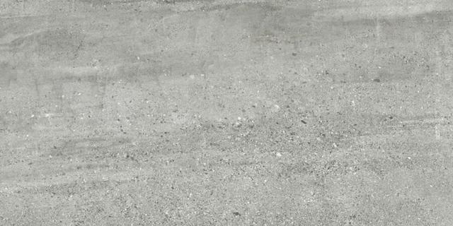 D120206M Gris