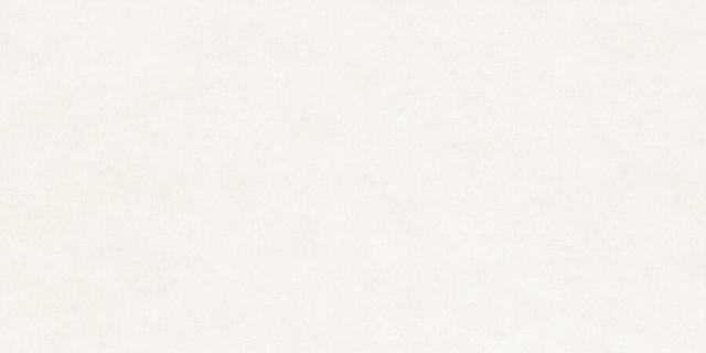 Berlin GFU60120BLN04R 60х120