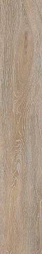 FR02 Beige