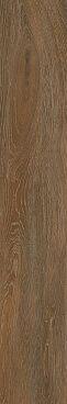FR05 Ocher