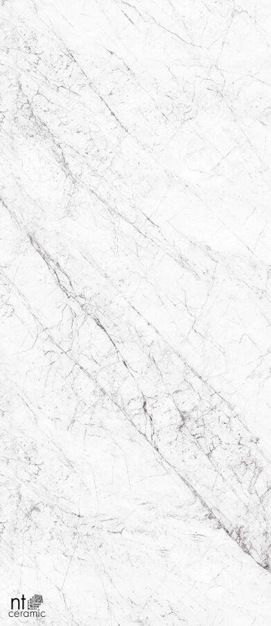 NTT3602C Carrara