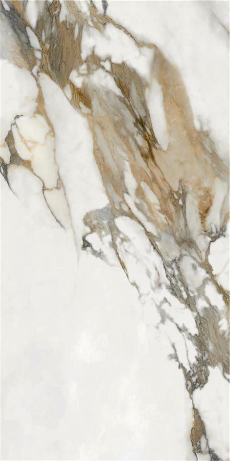 Stagnone Gold Pulido Rect 60х120