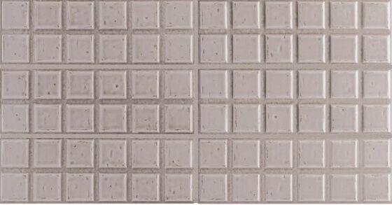 30746 Tablet Morchella