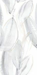 Florida Pul Blanco 59x119