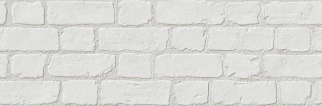 Muro XL Blanco 30x90